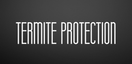 Termite Protection | Pest Control Services Kirwan Kirwan